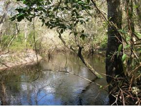 00 E Cr 225, Gainesville, FL 32609