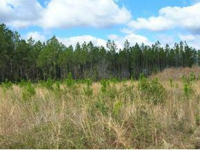 00 E Cr 225, Gainesville, FL 32609
