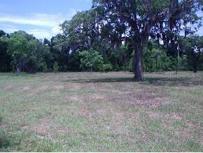 23721 NE 54th Place / Cr219a, Melrose, FL 32666