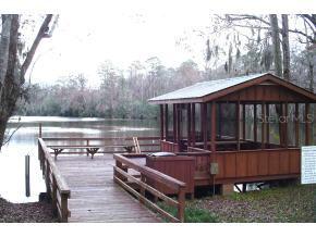 7234 NW 21st Way, Gainesville, FL 32653