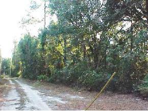 NE Cr 225, Gainesville, FL 32609