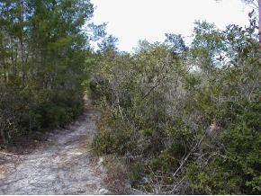 313 Hankley Lake Trail, Hawthorne, FL 32640