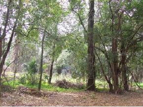 3233 NW 12th Ter., Gainesville, FL 32609