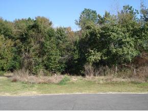 5214 NW 19th Street, Gainesville, FL 32606