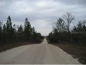 NE 134th Ct., Williston, FL 32696