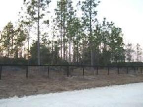 [Address Hidden by Seller], Archer, FL 32618