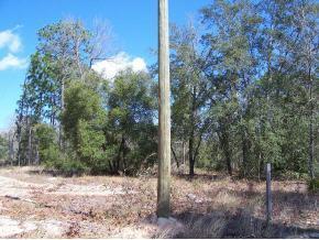 00 Forest Hills Rd, Keystone Heights, FL 32656