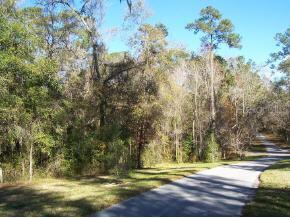 3960 NW 30th Pl., Gainesville, FL 32606