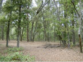 NE Cr 1469, Earleton, FL 32640
