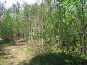 NW 71st Street Ave., Gainesville, FL 32606