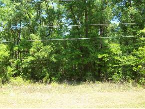 415 SW 80 Blvd., Gainesville, FL 32607