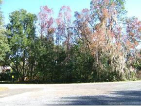 3107 SW 1st Way, Gainesville, FL 32601