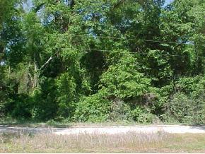 [Address Hidden by Seller], Alachua, FL 32615