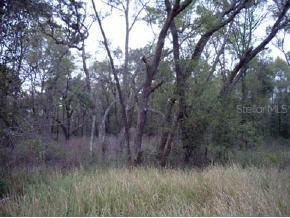 SE Sr2082, Alachua, FL 32641