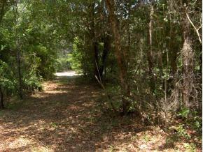 6802 SW 138 St., Archer, FL 32618