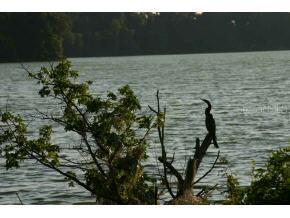 2754 SW 14th Dr., Gainesville, FL 32608