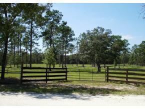 NE 126 Avenue, Williston, FL 32696