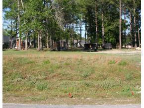 11937 NW 71st Ter., Alachua, FL 32615