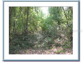 Lot 4 SE 179 Ave., Hawthorne, FL 32640