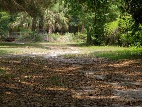 15319 NW 5 Ave., Newberry, FL 32669