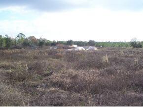 14755 NW 11th Place, Newberry, FL 32669