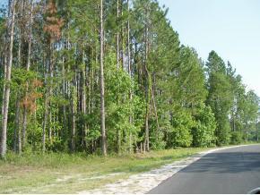SW 100th Place, Lake Geneva, FL 32054