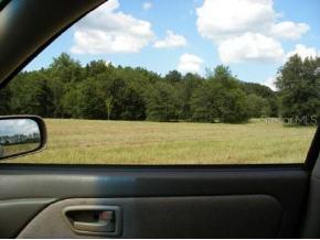 SW 282 St., Newberry, FL 32669