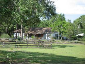 3051 NE 140 Ave., Williston, FL 32696