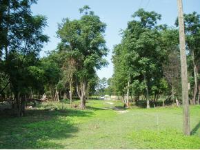 April Blvd., Alachua, FL 32615