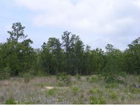 Little Rain Lake Rd., Keystone Heights, FL 32656