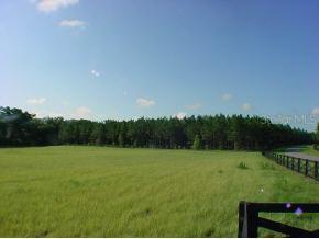 4253 NW 159 Dr., Gainesville, FL 32669