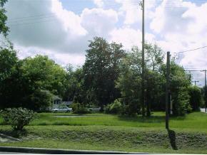 802 NW 5 Ave, Gainesville, FL 32601