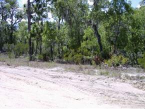 NE 92 Ct, Bronson, FL 32621