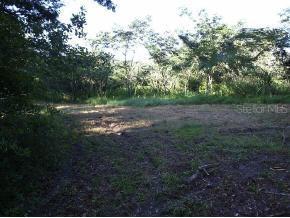NW 142nd Avenue, Gainesville, FL 32609