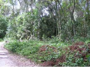 410 SE 75 St., Gainesville, FL 32641