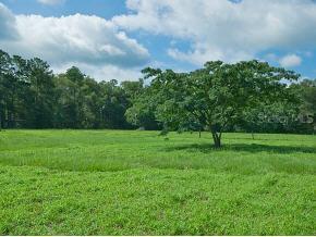 22615 NW 22nd Ave., Newberry, FL 32669