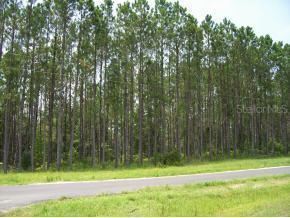 4061 Sw 100th Pl., Worthington Springs, FL 32054