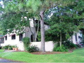 530 NE 7th Ave., Gainesville, FL 32601