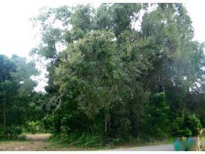 835 SE Oak Meadows Dr., High Springs, FL 32643