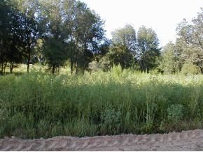 453 Old Hawthorne Rd., Hawthorne, FL 32640