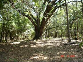 590 N Sr-21 Rd., Melrose, FL 32666