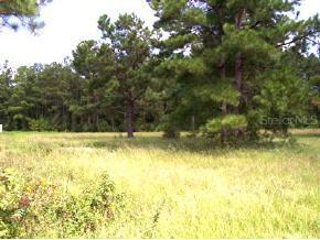 SW Sw 53rd St Ter., Lake Butler, FL 32054