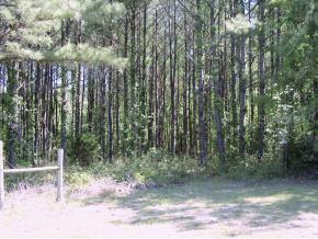 NW 39 Avenue, Lot 73, Gainesville, FL 32605