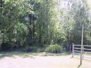 NW 39 Avenue, Lot 64 St., Gainesville, FL 32605
