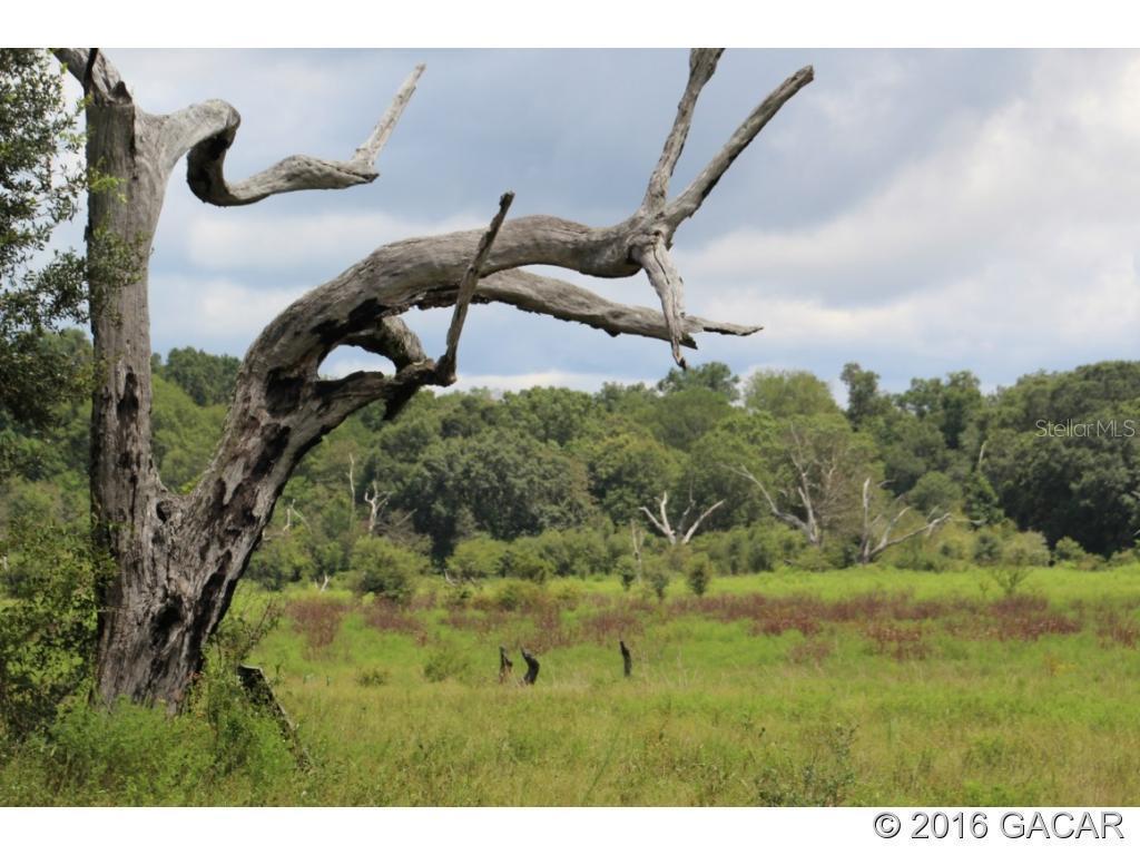 Lot 7 Sr 47, Trenton, FL 32693