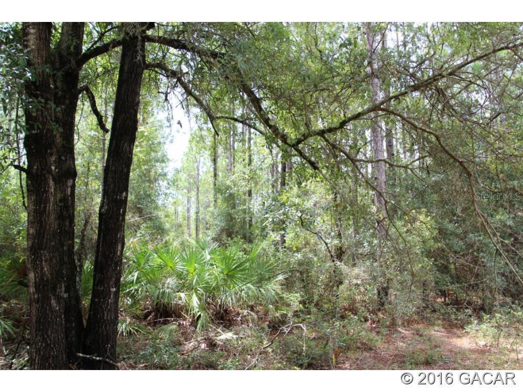 Lot 1 State Road 47, Trenton, FL 32693