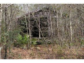 00 NE County Rd 225, Gainesville, FL 32609