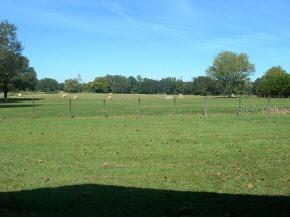 6417 NW 243rd Ter., Alachua, FL 32615