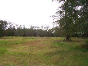 SW 84th Ter, Lake Butler, FL 32054