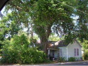 618 NW 1 St., Gainesville, FL 32601